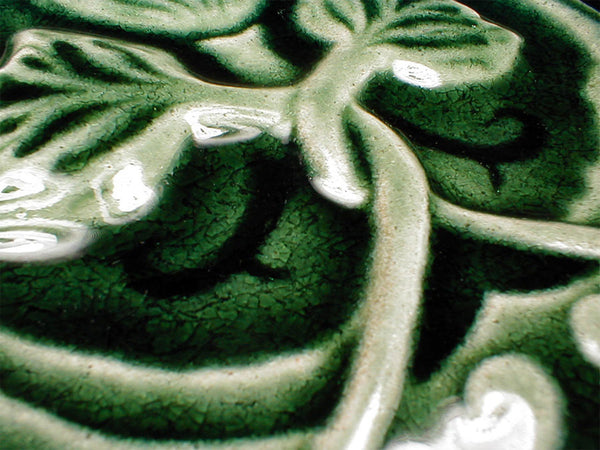 6 x 6 Rose - Evergreen